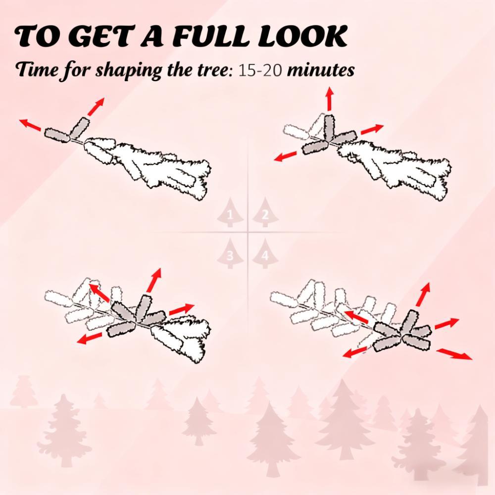 26233648