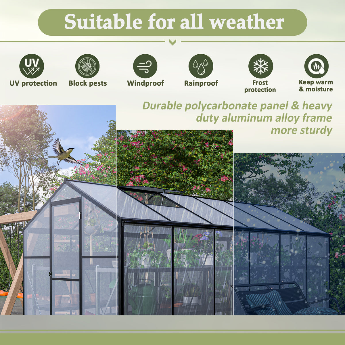 26932743
