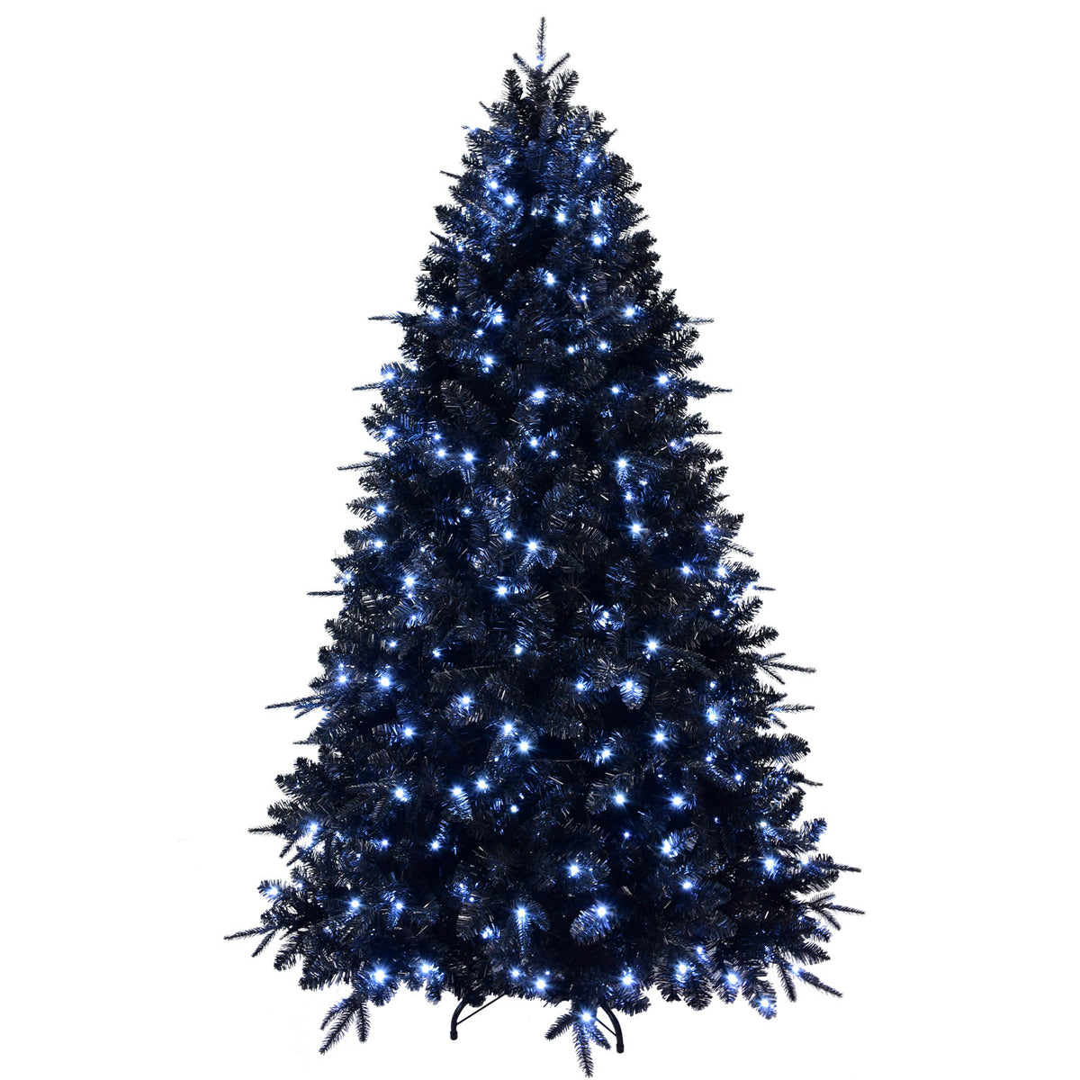 26231844