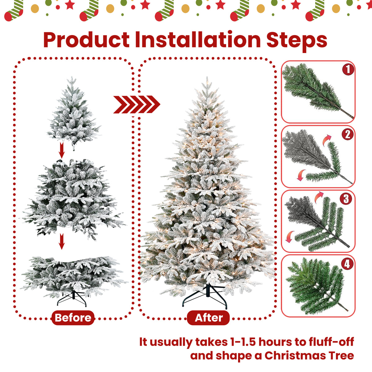 26233450
