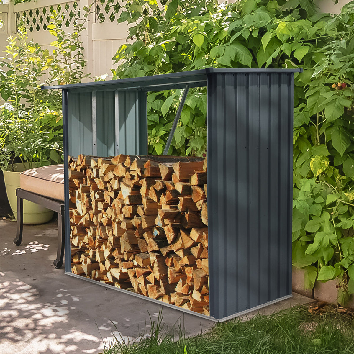 26933069